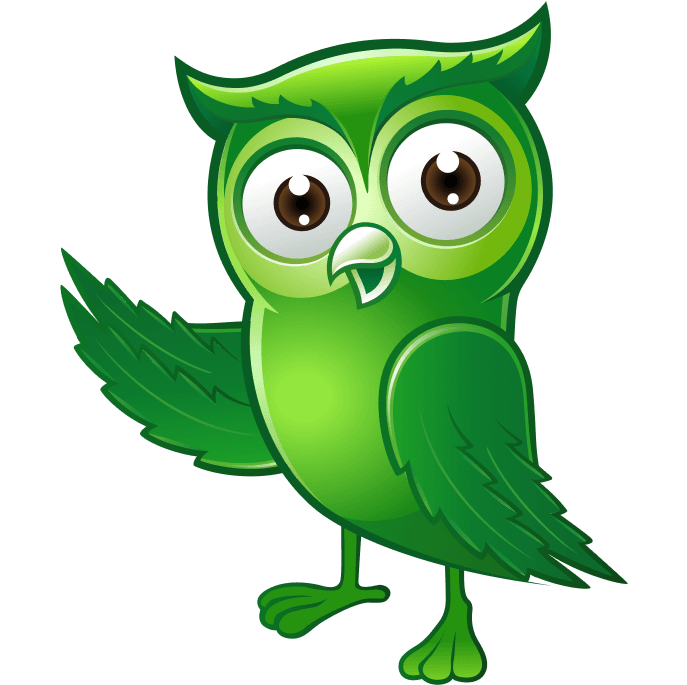 budbo-owl-left