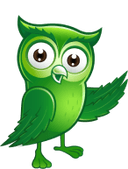 Budbo Owl